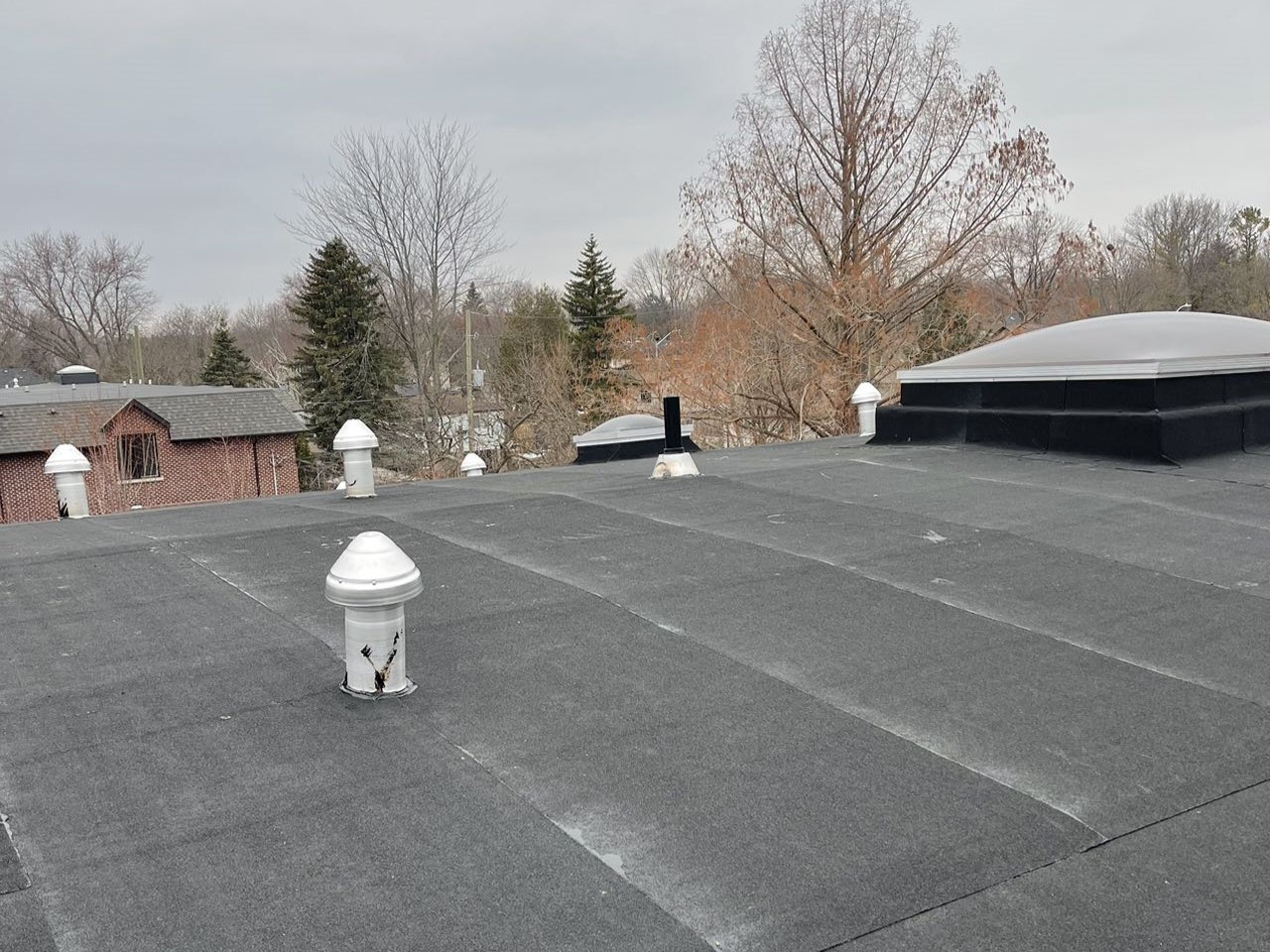 Flat Roof